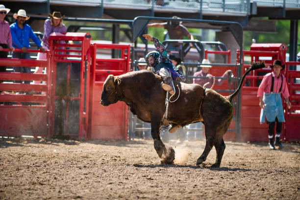 istock Cowboy Bull Riding in Rodeo Arena 1049584136