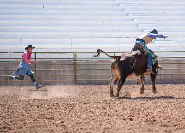 Clown working a bull at the rodeo Clown working a bull at the rodeo bull riding bull bullfighter cowboy hat stock pictures, royalty-free photos & images