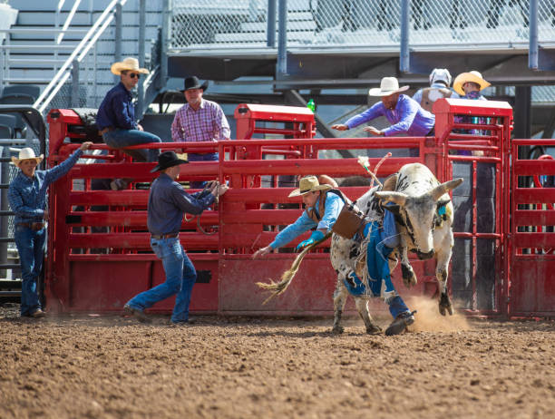 istock Cowboy Bull Riding in Rodeo Arena 1049586750