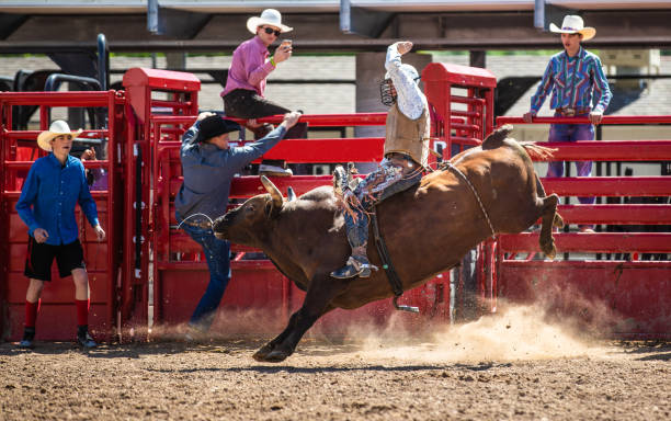 istock Cowboy Bull Riding in Rodeo Arena 1049586766