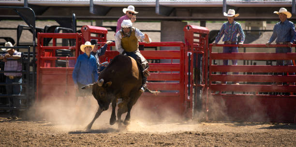 istock Cowboy Bull Riding in Rodeo Arena 1049586768