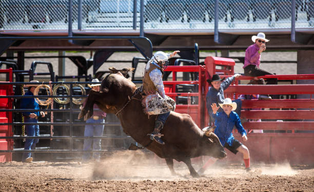 istock Cowboy Bull Riding in Rodeo Arena 1049586786