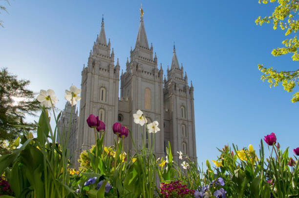 frühlingsblumen auf dem tempelplatz - mormonenkirche stock-fotos und bilder