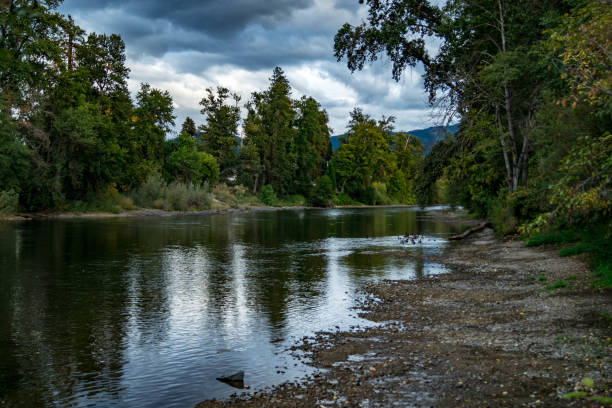 istock Rogue River flowing near Grant's Pass, Oregon 1049589298