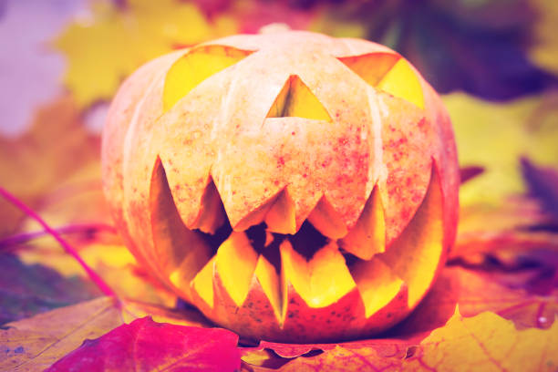 istock Halloween pumpkin lantern with dry leaves with autumn background. 1049592672