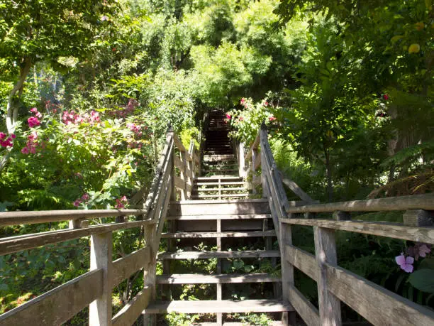 Photo of Filbert Street Stairs