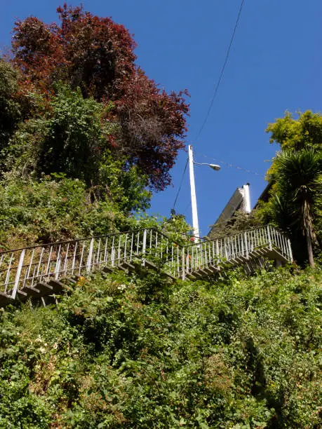 Photo of Filbert Street Stairs