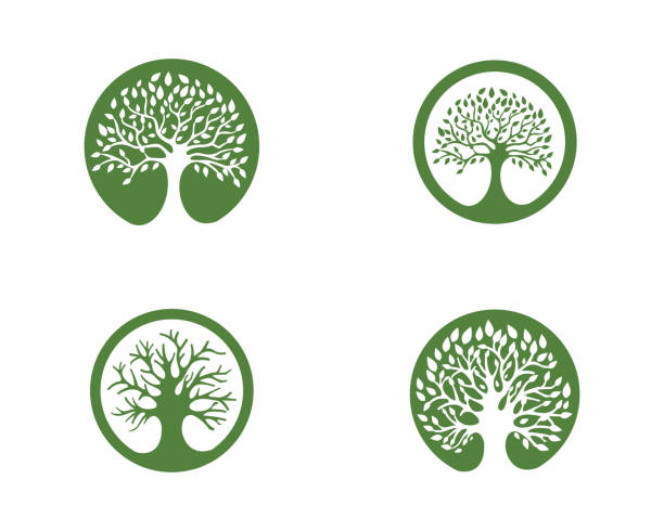 Family Tree vector icon design Family Tree   template vector icon design family trees stock illustrations
