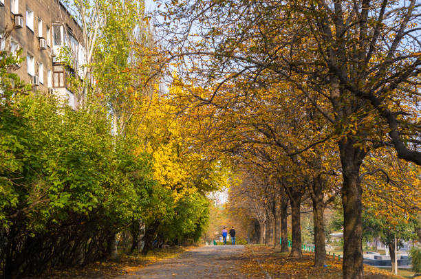 istock Urban Autumn landscape with trees in sunlight 1049637334