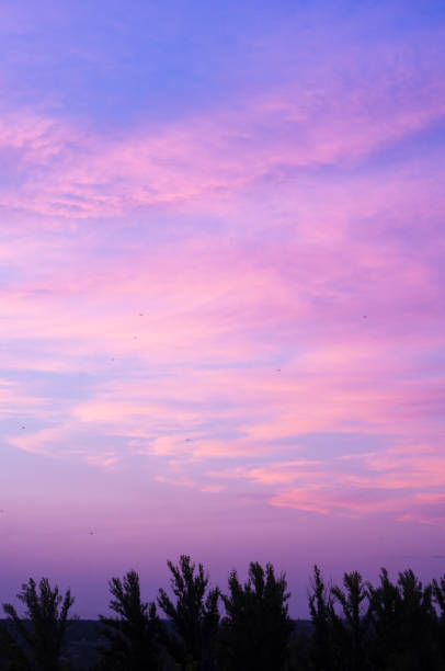 Landscape with dramatic light - beautiful golden sunset with saturated sky and clouds, peaceful nature serene background.