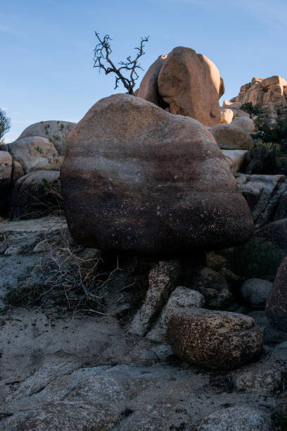 istock Sandstone Rock Formation with Water Marks at Joshua Tree National Park 1049640854
