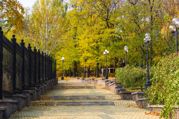 istock Urban Autumn landscape with trees in sunlight 1049646880