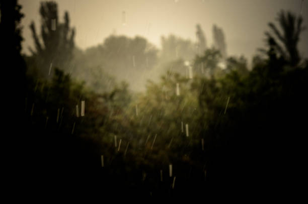 istock Landscape with trees in heavy summer rainstorm 1049655856