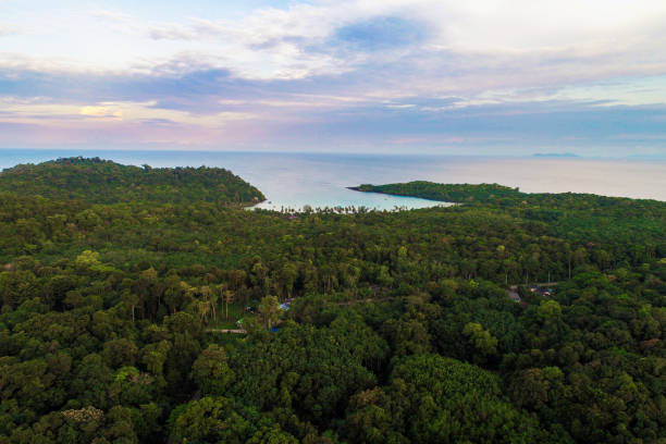 istock Seashore blue ocean with green tree forest aerial 1049667420