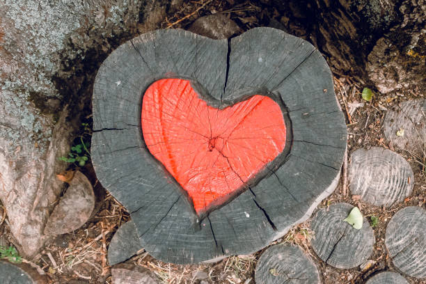 istock Red love heart carved on a stump. 1049670840
