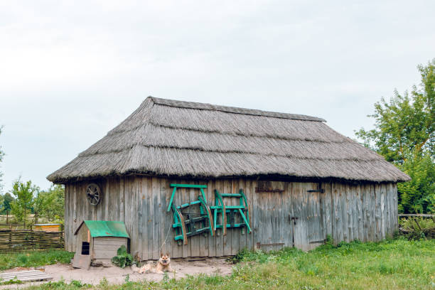istock An old rural house with a dog. 1049673200