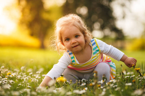 istock Picking fresh flowers for a bouquet 1049685130