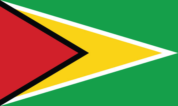 Flag of Guyana vector illustration Flag of Guyana vector illustration caribbean community and common market stock illustrations