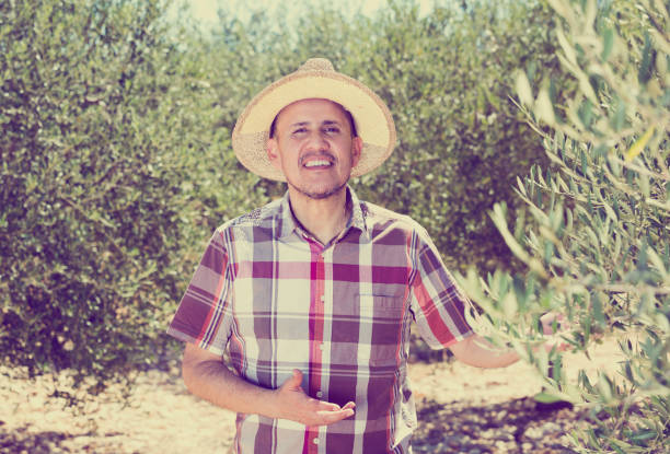 istock Man gardener standing among olive trees 1049694664