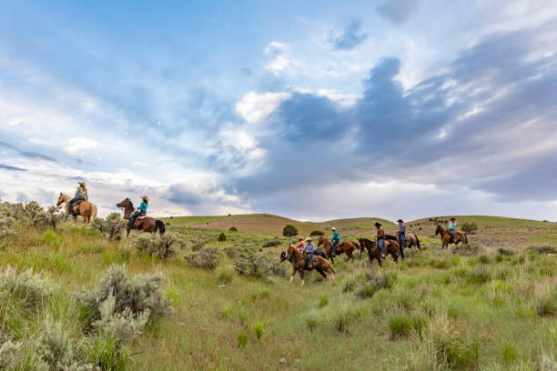 группа ковбоев и cowgirls езда через поле - trail ride стоковые фото и изображения