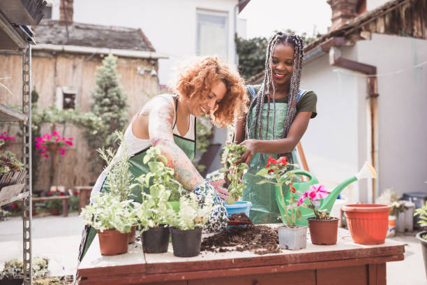 istock Redhead and African woman doing re-potting in a backyard 1049705142