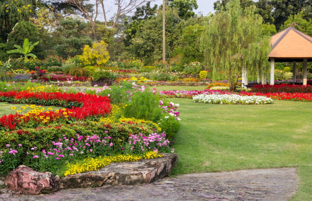 istock colorful flower in the garden 1049711506