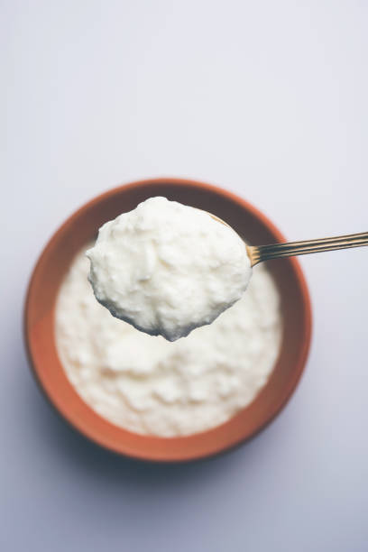 Plain curd or yogurt or Dahi in Hindi, served in a bowl over moody background. Selective focus