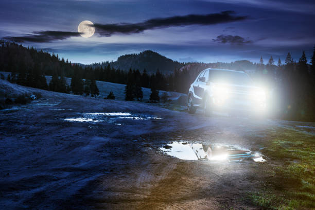 suv parked on the road near forest at night stock photo