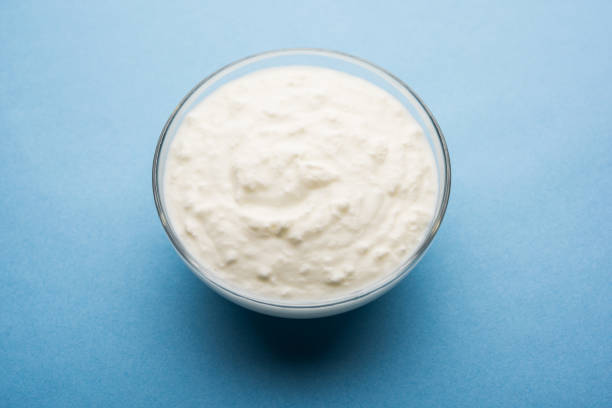 istock Plain curd or yogurt or Dahi in Hindi, served in a bowl over moody background. Selective focus 1049725536