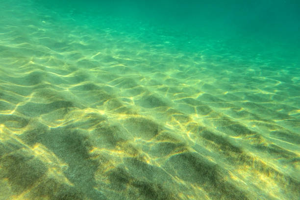 песчаное морское дно, небольшие песчаные «дюны», освещенные солнцем, подводное фото, абстрактный морской фон. - sub tropical climate стоковые фото и изображения