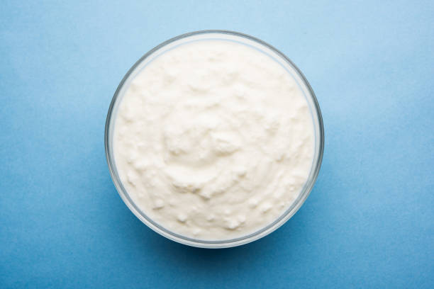 istock Plain curd or yogurt or Dahi in Hindi, served in a bowl over moody background. Selective focus 1049729474
