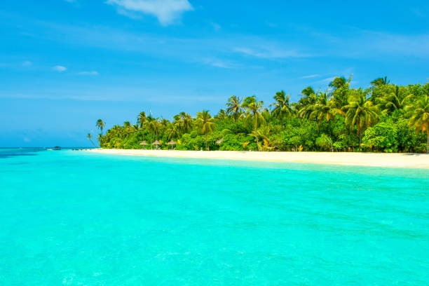 istock Beautiful sandy beach in uninhabited island 1049732536