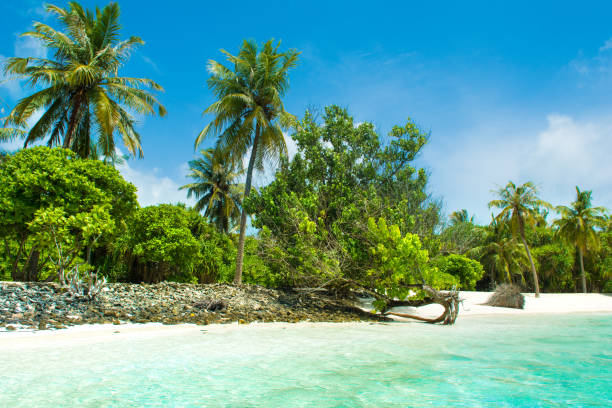istock Beautiful sandy beach in uninhabited island 1049732598