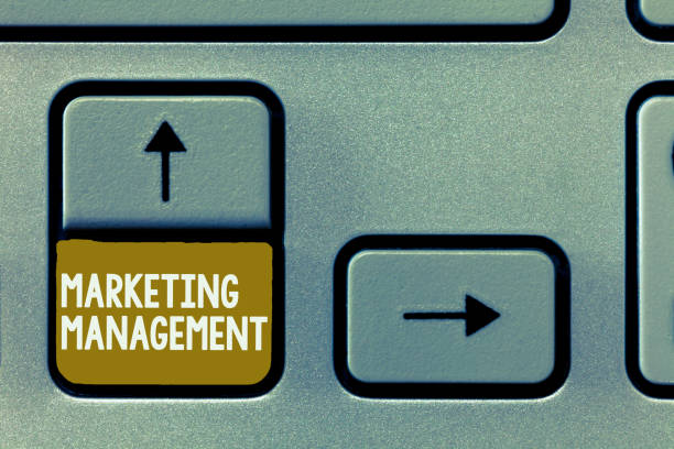 istock Conceptual hand writing showing Marketing Management. Business photo showcasing Develop Advertise Promote a new Product or Service 1049732970