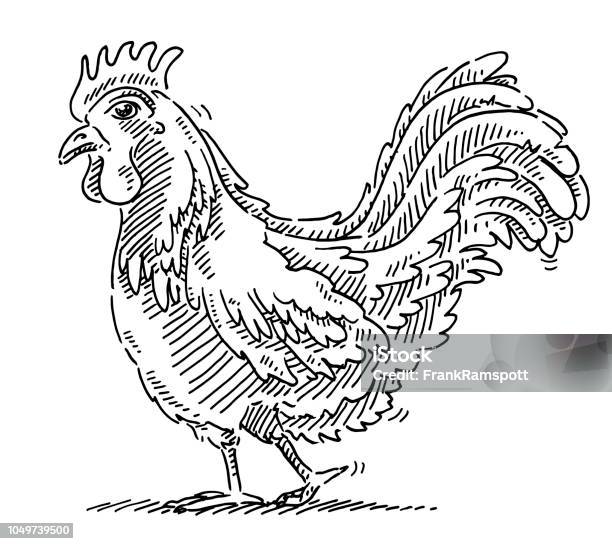 Shy Chicken Animal Drawing Stock Illustration - Download Image Now - Drawing - Art Product, Hen, Chicken - Bird