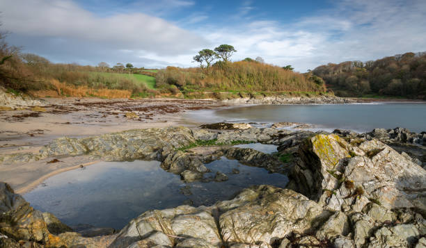 istock Autumn Polridmouth Cove, Gribbin Head, Cornwall 1049741888