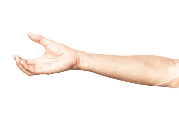 istock hand holding something like a bottle or can 1049742686
