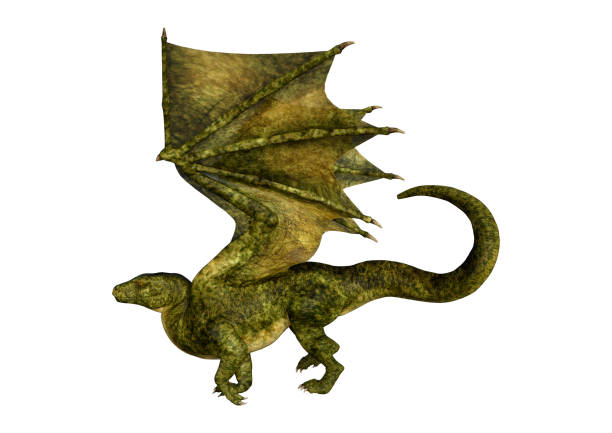 istock 3D illustration green fantasy dragon on white 1049743230