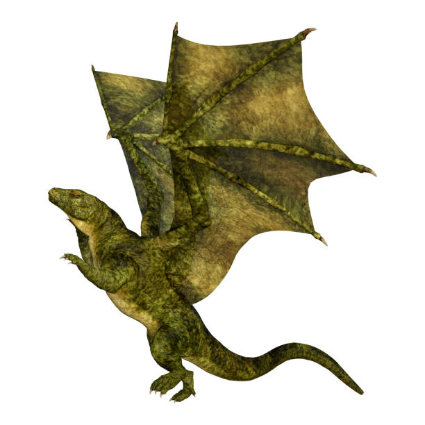 istock 3D illustration green fantasy dragon on white 1049743276