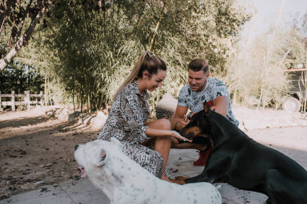 istock Young couple playing outdoors with dog 1049751612