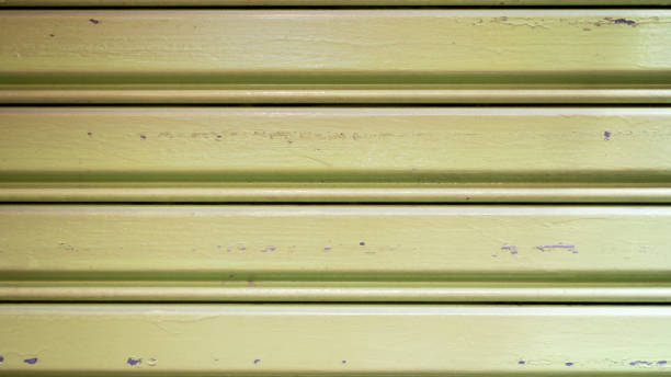 istock Green Wrought iron doors 1049758740