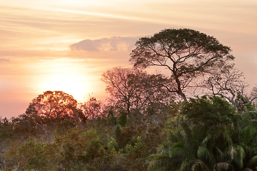 Puesta de sol en una granja en el Pantanal brasileño photo