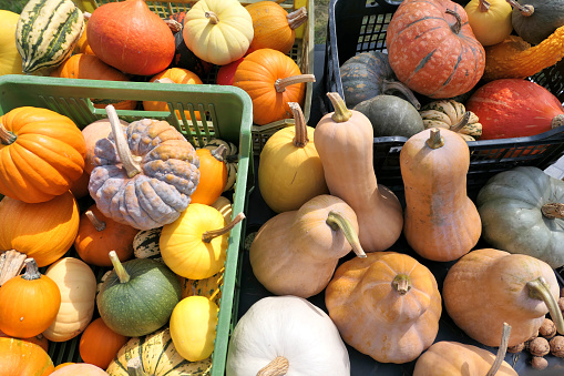 Pumpkins in a wooden crate