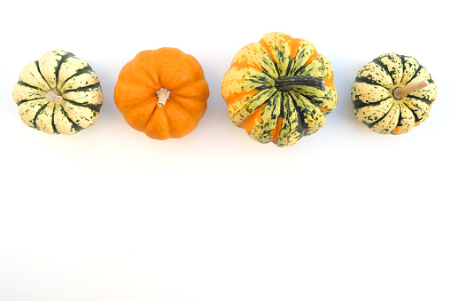 Little decorative pumpkins, winter squashes on white background. Autumn border