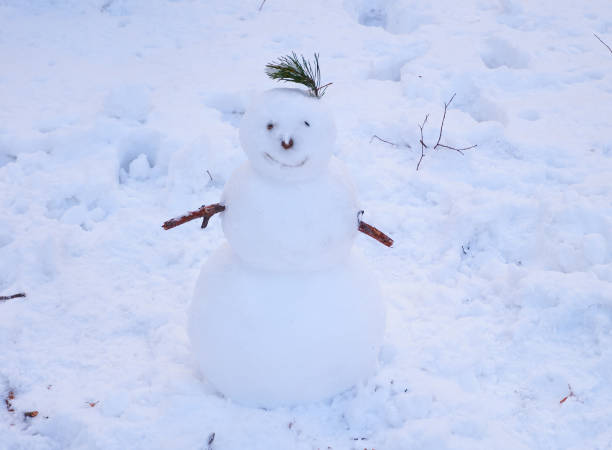 istock Little cute smiling snowman standing on a snow. 1049781622