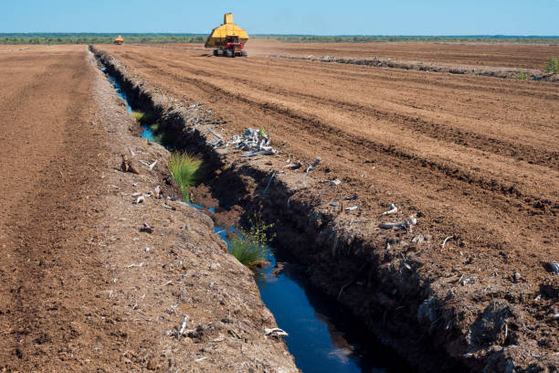 Peat extraction process Reclamation system at peat farm. Agricultural technology. Peat extraction machine Peat stock pictures, royalty-free photos & images