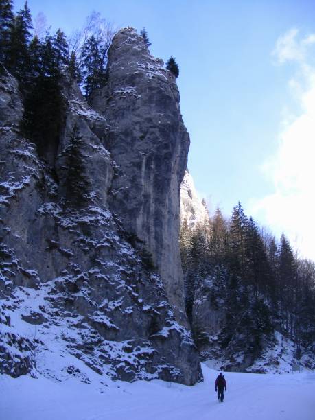istock National Park Piatra Craiului 1049781906