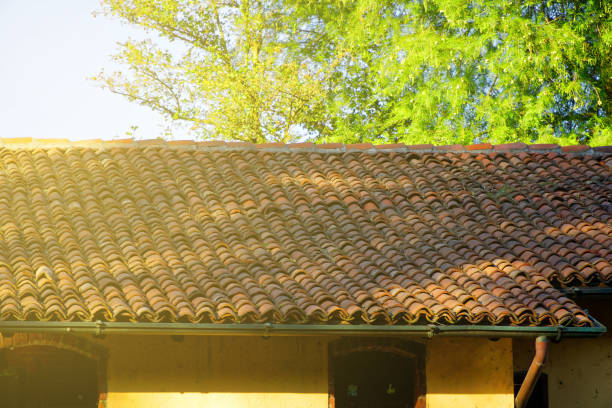 istock Old red tiled roof, close-up and green tree on background 1049784652