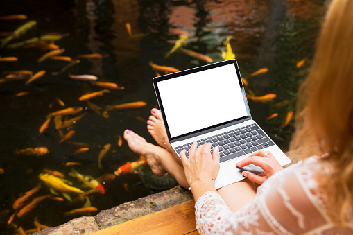 Relaxed Caucasian ethnicity female using laptop computer next to colorful fish in pool