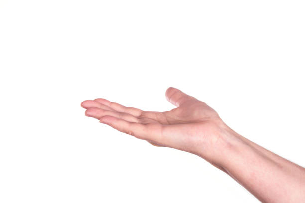 istock Woman's hand on the white background. Friendship and help concept 1049815688